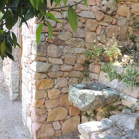 L'ortu Di Pisettu -1 Conca