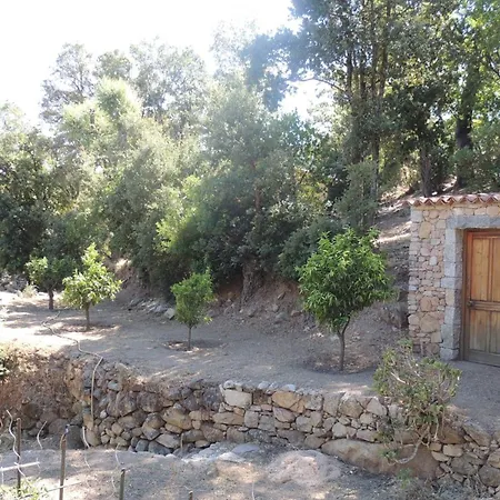 L'ortu Di Pisettu -1 Villa