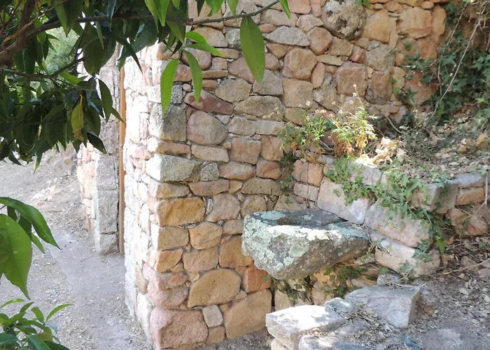 L'ortu Di Pisettu -1 Conca