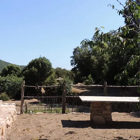 L'ortu Di Pisettu -1 Vila Conca