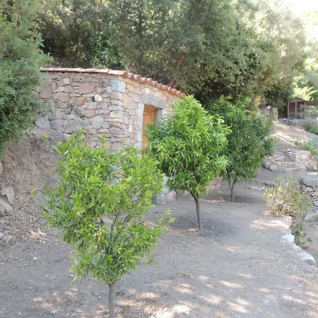 Vila L'ortu Di Pisettu -1