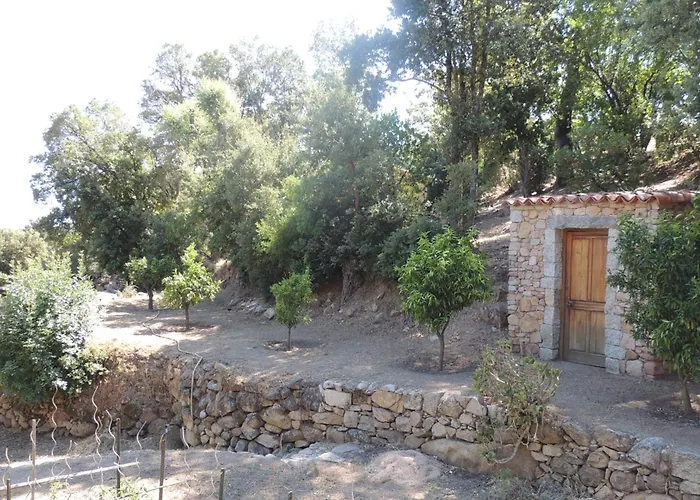 L'ortu Di Pisettu -1 Villa