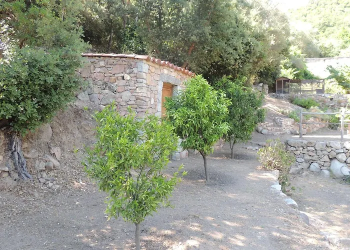 Villa L'ortu Di Pisettu -1